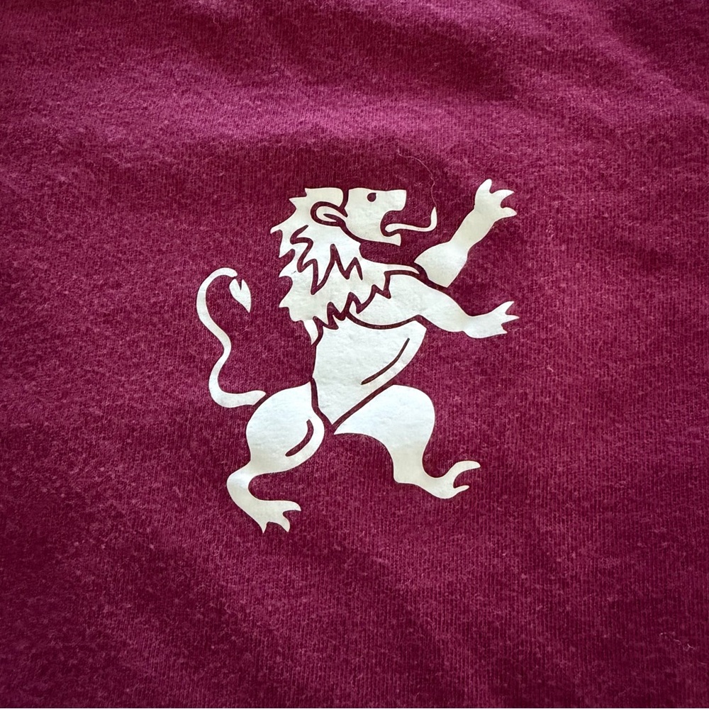 Harry Potter Gryffindor Traits Tee - Size L (14/16) - Picture 3 of 5